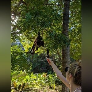 Meet your Posher, Layla